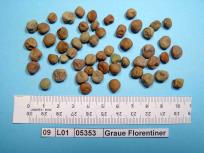 Click for 1 image(s) for this accession. Image